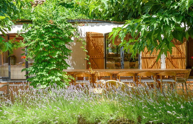 Villa Cicadis, lavendel in de tuin