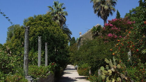 Trsteno Arboretum, planten