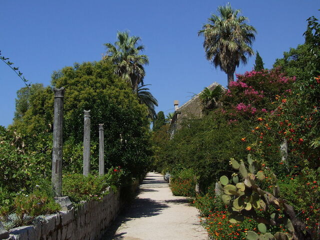 Trsteno Arboretum, planten
