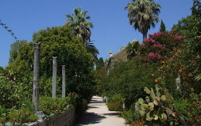 Trsteno Arboretum, planten
