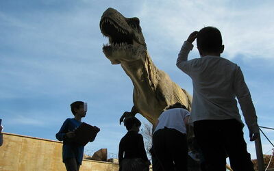 Natuurhistorisch Museum van Kreta, T-Rex