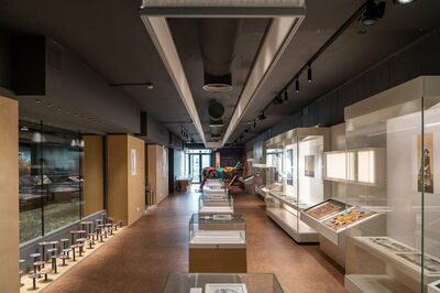 Natuurhistorisch Museum van Kreta, interieur