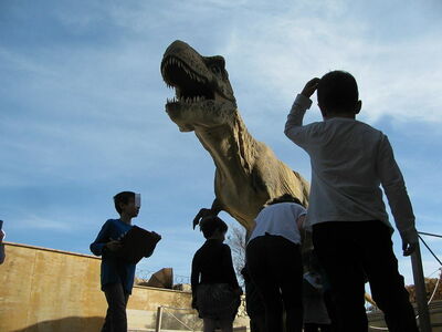 Natuurhistorisch Museum van Kreta, T-Rex