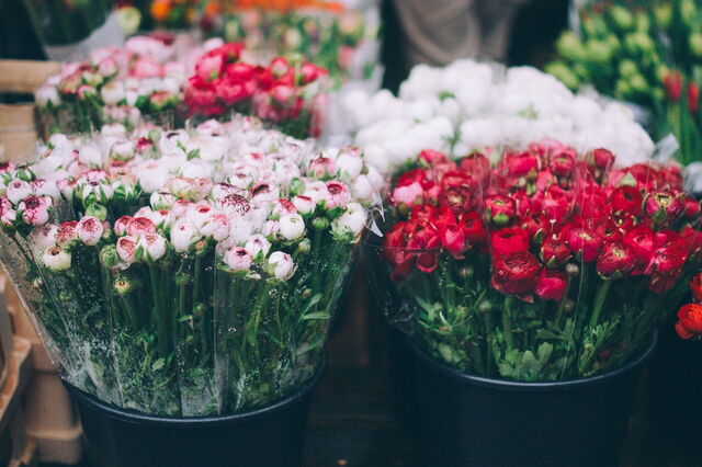 Cours Saleya, bloemen