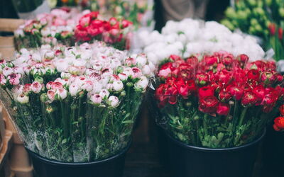Cours Saleya, bloemen