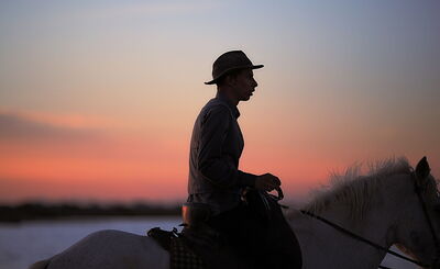 Een cowboy in Camargue