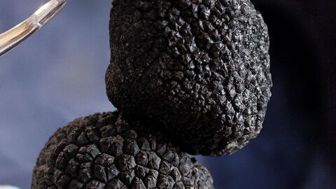 Truffels