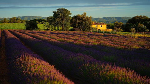 Landschap van Provence