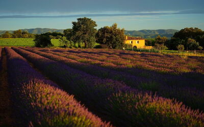 Landschap van Provence