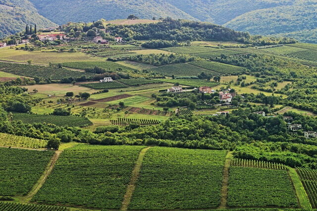 Weelderige landschappen in Kroatië