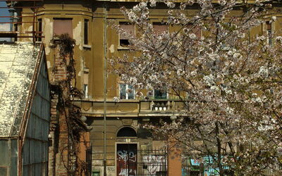 Botanische tuin van Zagreb