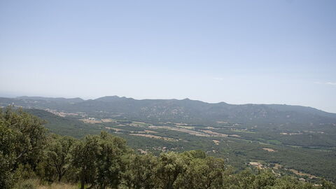 Aro vallei