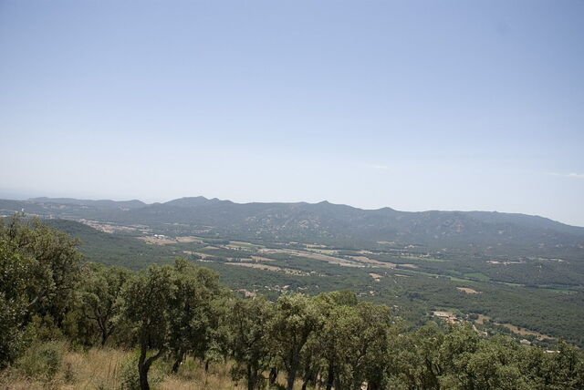 Aro vallei