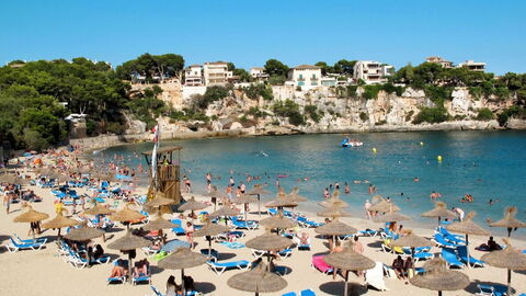 Strand nabij Schnuffi