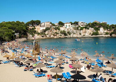 Strand nabij Schnuffi