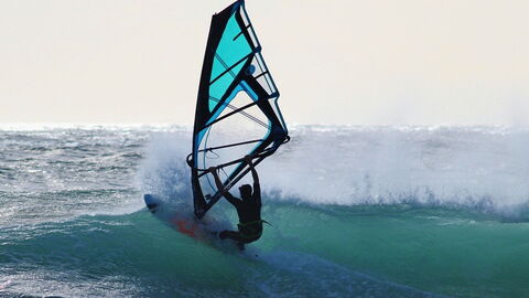 Windsurfer