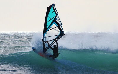 Windsurfer