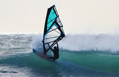 Windsurfer