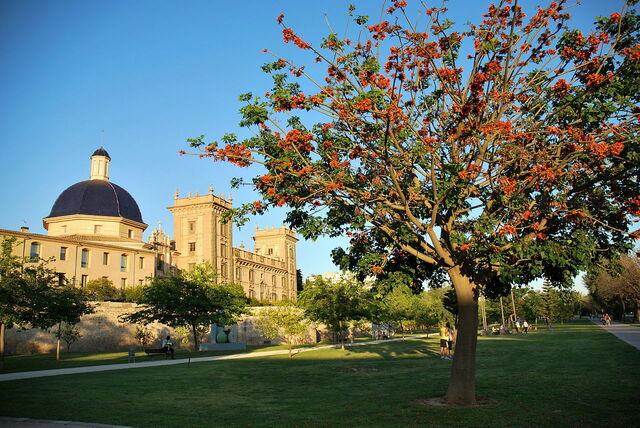 Museu de Belles Arts de València