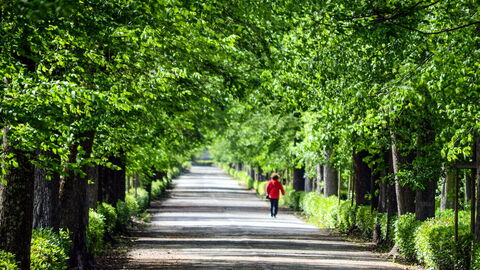 Cascine Park
