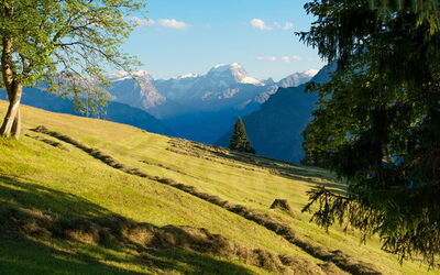 Vakantiewoningen in Glarus
