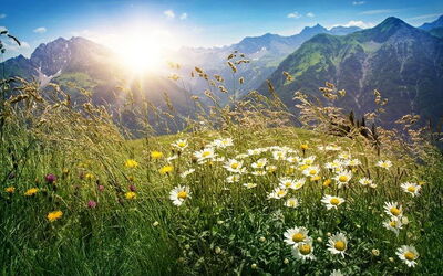 Vakantiewoningen In Vorarlberg