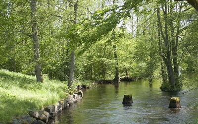 Vakantiewoningen in Kronoberg