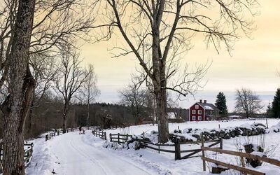 Vakantiewoningen in Kronoberg