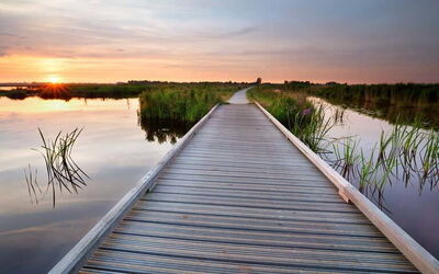 Vakantiewoningen In Drenthe