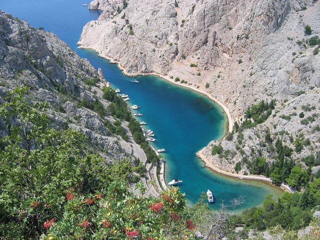 Zavratnica baai