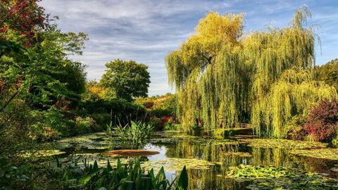 Monet's tuinen