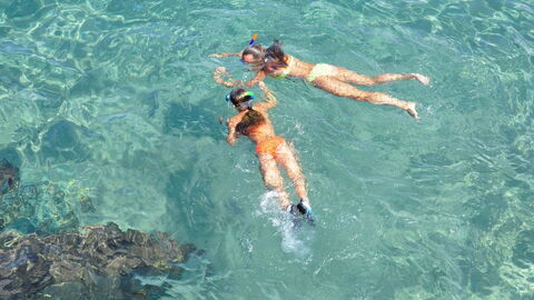 Snorkelen