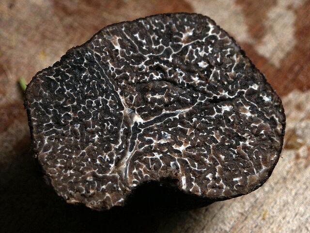 Truffel
