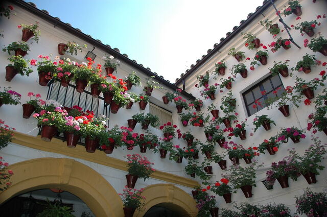 Córdoba Binnenhof Festival