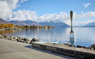 Vakantiewoningen in Vaud