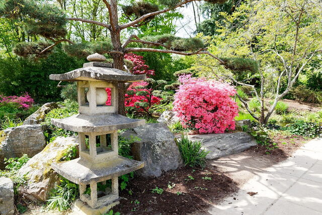 Jardin Japonais de l'Île de Versailles, planten