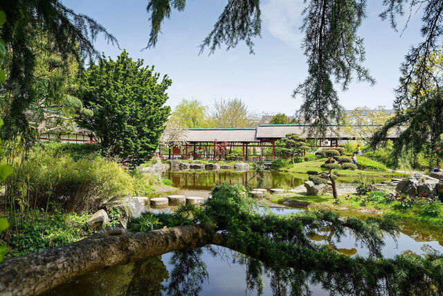 Jardin Japonais de l'Île de Versailles