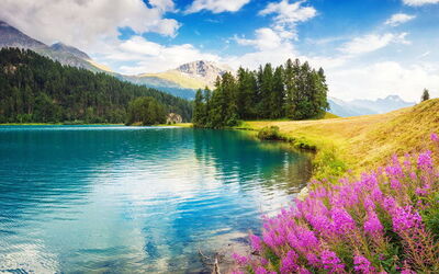 Vakantiewoningen in Graubünden