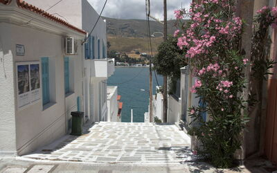 Museum voor Hedendaagse Kunst, Andros