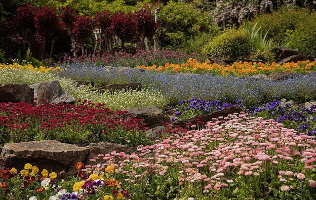 Bloemen bij Villa Carlotta