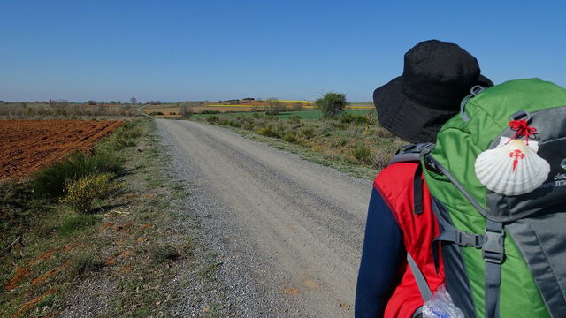 Wandelen