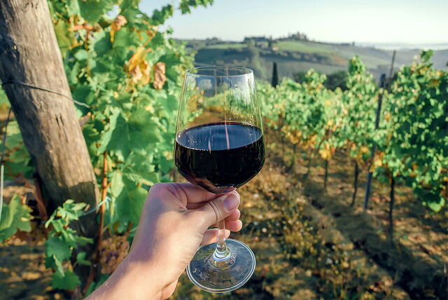 Wijn in Chianti
