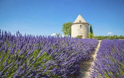 Vakantiewoningen in Provence-Alpes-Cote d'Azur