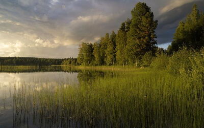 Vakantiewoningen In Gävleborg