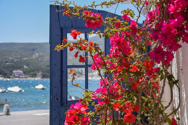 Bloemen in Cadaqués