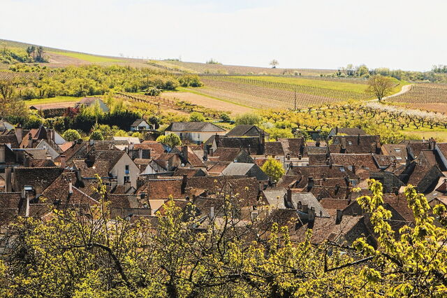 Bourgondië