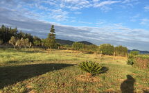 Foto ingevoerd door een huurder van Can Barbara