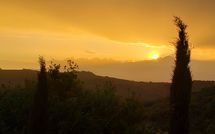 Foto ingevoerd door een huurder van La Casina del Bosco