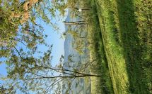 Foto ingevoerd door een huurder van Il Poggiarone 6