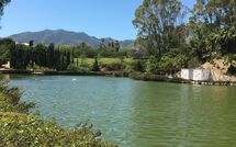 Foto ingevoerd door een huurder van Benalmádena Costa 121